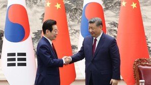 시진핑 “한중, ‘日 군국주의’ 싸움서 막대한 국가적 희생…평화 수호 협력해야”