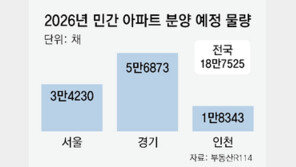 서울 아파트 올해 3만4000채 공급… ‘현금 부자들만의 분양’ 우려