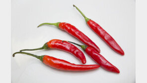 옆집 배달 음식 훔쳐 먹고 입원…되레 “치료비 달라”