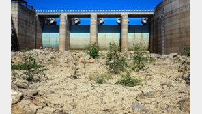 작년 연평균 기온, 역대 두번째로 높은 13.7도…1위는 2024년