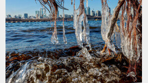 영하 12도 한파에…길에서 잠든 60대 사망