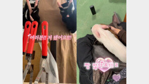 “저 됐어요!”…쇼츠 켜면 들리는 그 목소리 정체는? [트렌디깅]