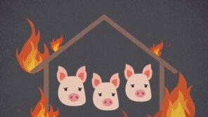 파주 한 돼지농장 돈사서 화재…돼지 350마리 폐사