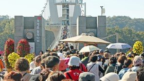 임실 옥정호 출렁다리·붕어섬 생태공원 개장 3년만 176만 명 다녀가