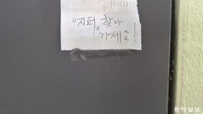 [고양이 눈]작은 배려