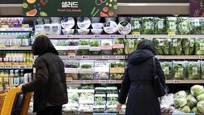 치솟는 먹거리 물가…4인가족 한달 식비 140만원도 모자라