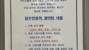 “고양이가 불 내…키우려면 이사가라” 오피스텔 공지 논란