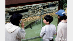 “서울대공원에서 멸종위기 동물들 만나보세요”
