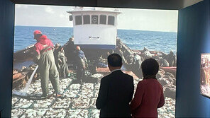 ‘바다의 꽃, 게 섰거라’ 인천시립박물관 2월까지 특별전