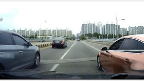 고의 추돌·허위 입원·고라니 탓…천안 보험사기 일당 무더기 검거