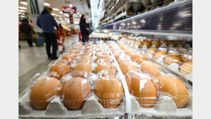 계란 이력조회 10자리 다 몰라도 가능…축평원, 조회 서비스 개선