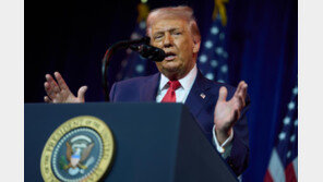 백악관 “트럼프, 그린란드 획득 방안 논의중…미군 활용도 선택지”