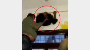 “도둑 살려∼”…부엌 환풍구에 낀 印 절도범 체포 (영상)