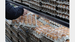 ‘에그플레이션’ 우려…미국산 신선란 224만 개 수입