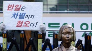 李 “사자명예훼손” 비판에…경찰, 위안부 혐오시위 등 엄정수사