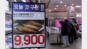 “밥상물가 잡자” 고등어 할인