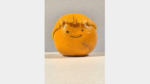 [고양이 눈]“여행 가고 싶어요!”