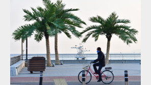 “한겨울에도 푸른 낭만 속을 달려요”