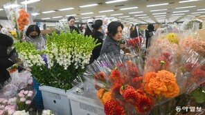 화훼시장 ‘졸업 특수’