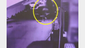 “여친과 누워있던 러시아男에 격분”…서울서 흉기들고 추격전