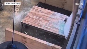 1t 트럭, 식당 돌진…60대 운전자 “가속 페달, 브레이크로 착각”