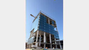 글로벌 사우스도 “자국서 만들어 팔아라”… 현지화 나선 韓기업