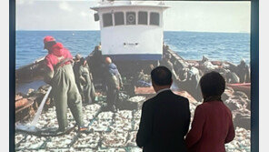 밥도둑-대쪽 선비 상징… 인천서 보는 ‘게 문화사’