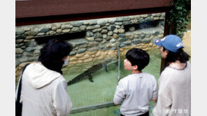 겨울에도… 동물원은 살아있다