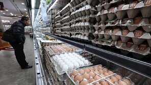 ‘에그플레이션’ 우려에 美달걀 224만개 이달 수입
