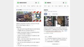 구글은 걸러주는데…‘독버섯 레시피’ 내놓은 네이버 검색 AI