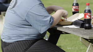 비만약, 항암제 추월했다…‘가장 잘 팔리는 약’ 1위 등극