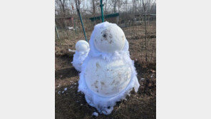 눈 대신 솜뭉치?… 중국 ‘가짜 눈 축제’에 관광객들 뿔났다