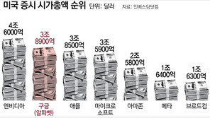 ‘AI 승기’ 잡은 구글, 애플도 잡았다… 시총 2위 탈환