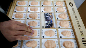 손끝으로… 친구 얼굴 기억해요