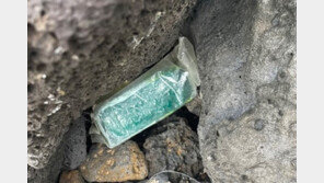 해경 “제주 차(茶)봉지 케타민, 대만 표류 마약과 연관”