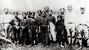 日, 조선인 끌려간 티니안섬에서 일본군 집단 매장지 발견