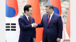 정부, 한한령 완화 기대 속 중국 내 한국 영화 개봉 확대 추진