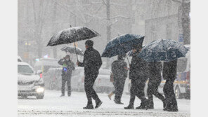 호남 서해안 최대 20cm 대설 경보급 눈폭탄