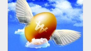 조류독감에 7000원대 ‘金란’… “볶음밥서 계란 빼야 하나”