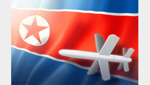 北 “韓, 4일 인천 강화에 무인기 침투…대가 각오해야”