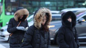오늘 밤 서울 전역 한파주의보…시, 24시간 상황관리
