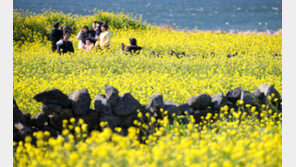 “1인당 3만원” 제주, 친구·동창 등 단체 여행객에 지역화폐 준다