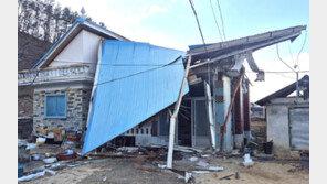 지붕 뜯기고 나무 쓰러지고…충북서 30여건 강풍 피해 신고