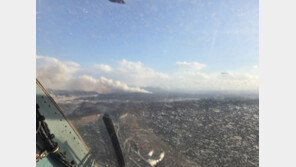 [속보]의성군 비봉리 산불 발생…대응 2단계 발령