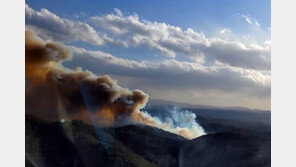 경북 의성군 산불, 마을 3곳 대피령…강풍 타고 불길-연기 확산