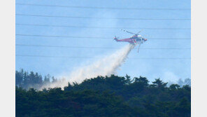 경북 청도 야산서도 불…산림·소방 당국 진화 중