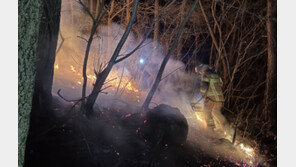 경북 김천 야산서 불…40분 만에 진화