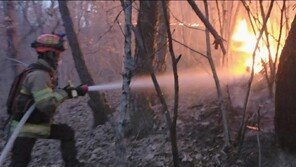 [속보]의성군수 “오후 6시께 의성읍 산불 주불 진화 완료”