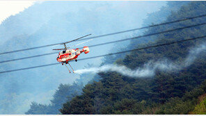 청도 고수리 밭 화재 40분 만에 진화…담뱃불 실화 추정