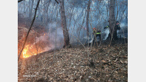 경북 의성 산불 주불진화…“야간 잔불 정리”